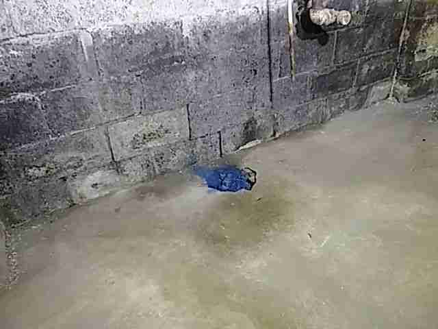 Testing again(38).jpg